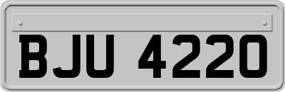 BJU4220