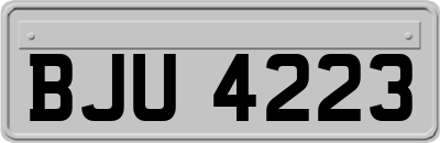 BJU4223