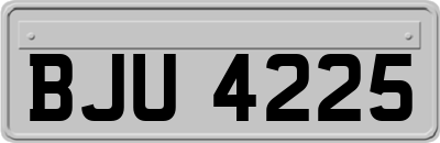 BJU4225