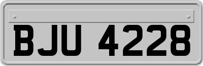 BJU4228