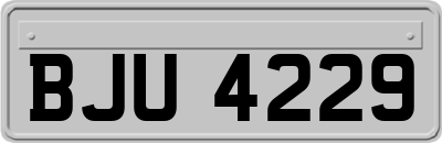 BJU4229