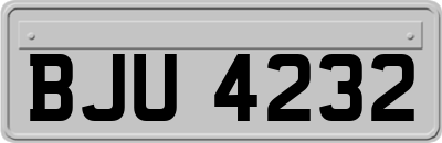 BJU4232