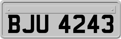 BJU4243
