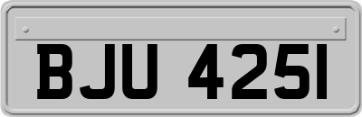 BJU4251