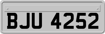 BJU4252