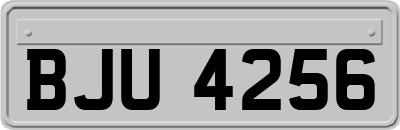 BJU4256