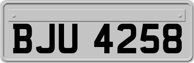 BJU4258