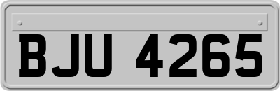 BJU4265