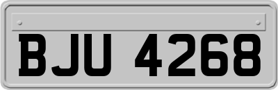 BJU4268