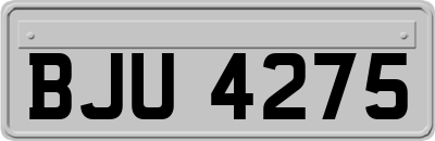 BJU4275