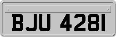 BJU4281