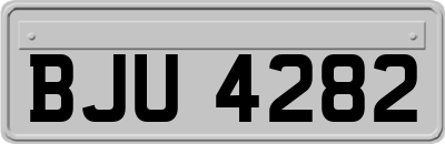 BJU4282
