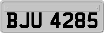 BJU4285