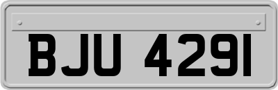 BJU4291