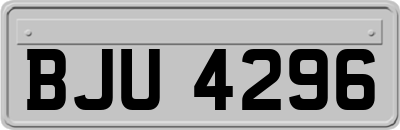 BJU4296