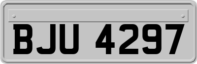 BJU4297