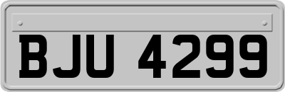 BJU4299