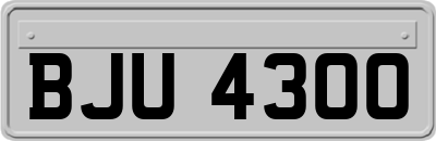 BJU4300