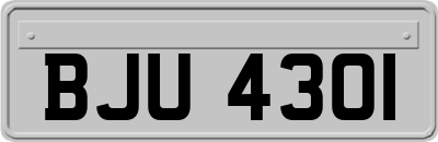 BJU4301