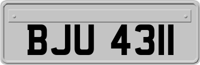 BJU4311