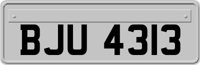 BJU4313