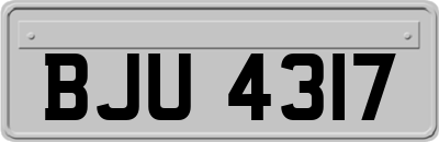 BJU4317