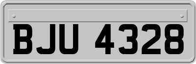 BJU4328