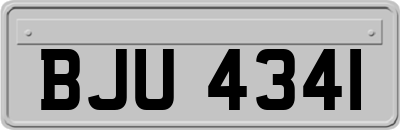 BJU4341