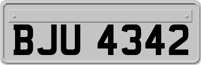 BJU4342