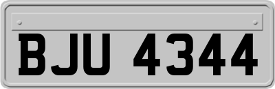 BJU4344