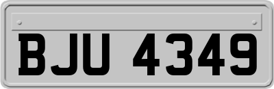 BJU4349