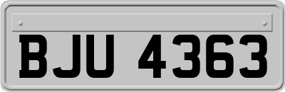 BJU4363