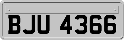 BJU4366