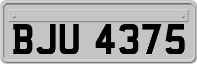 BJU4375