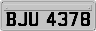 BJU4378