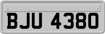 BJU4380