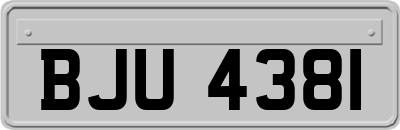 BJU4381