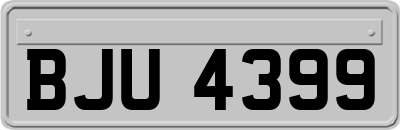 BJU4399