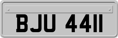 BJU4411