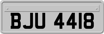 BJU4418