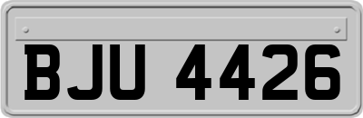 BJU4426