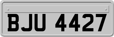 BJU4427
