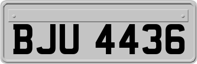 BJU4436