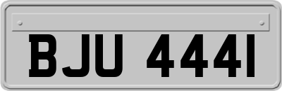 BJU4441