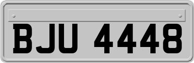 BJU4448