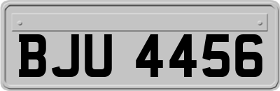 BJU4456