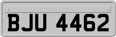 BJU4462