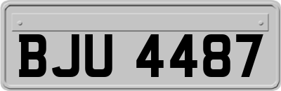 BJU4487