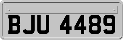 BJU4489