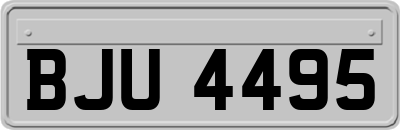 BJU4495